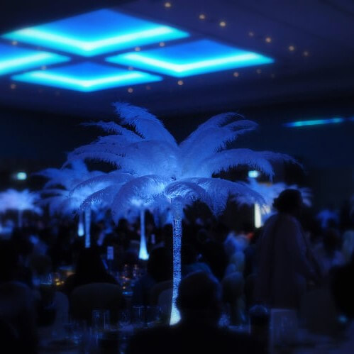 Feather Table Centre Hire