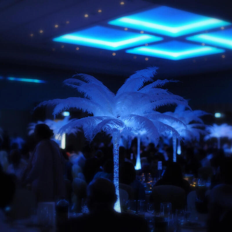 Feather Centrepiece Hire in the UK